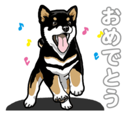 Daily Black Shiba Inu 5 sticker #14517106