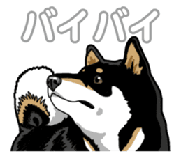 Daily Black Shiba Inu 5 sticker #14517107