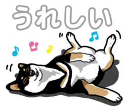 Daily Black Shiba Inu 5 sticker #14517108