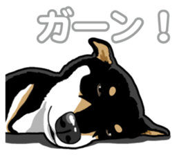 Daily Black Shiba Inu 5 sticker #14517109