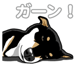 Daily Black Shiba Inu 5 sticker #14517109