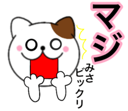 Names cat misa sticker #14517713