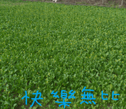 Cheng home of the United States sticker #14518552