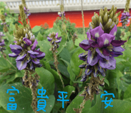 Cheng home of the United States sticker #14518553