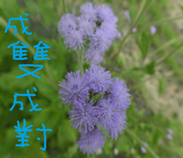 Cheng home of the United States sticker #14518555