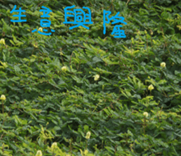 The beauty of Joan Garden sticker #14518897