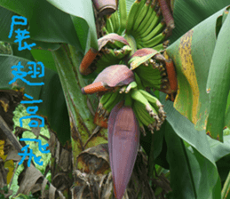 The beauty of Joan Garden sticker #14518900