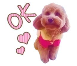 Cute dog Kotaro-chan sticker #14519057