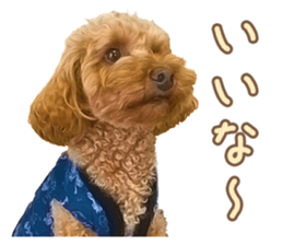 Cute dog Kotaro-chan sticker #14519065