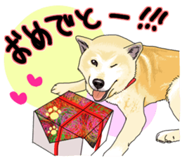 Everyone's Shiba stamp sticker #14519238