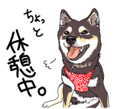 Everyone's Shiba stamp sticker #14519246