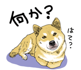 Everyone's Shiba stamp sticker #14519252