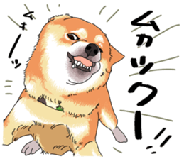 Everyone's Shiba stamp sticker #14519255