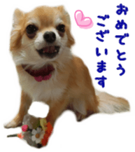 Sticker of Cereza 8 sticker #14519694