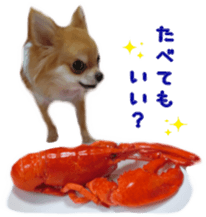 Sticker of Cereza 8 sticker #14519700