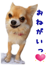 Sticker of Cereza 8 sticker #14519706