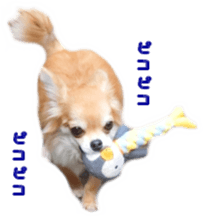 Sticker of Cereza 8 sticker #14519712