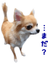 Sticker of Cereza 8 sticker #14519716