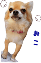 Sticker of Cereza 8 sticker #14519721