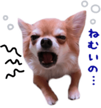 Sticker of Cereza 8 sticker #14519722