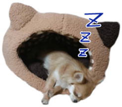 Sticker of Cereza 8 sticker #14519723