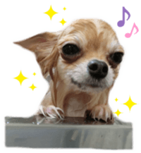 Sticker of Cereza 8 sticker #14519727