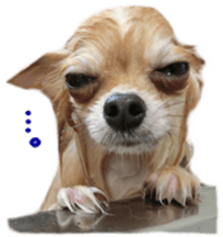 Sticker of Cereza 8 sticker #14519728