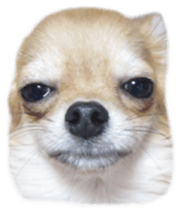 Sticker of Cereza 8 sticker #14519732