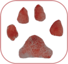 Sticker of Cereza 8 sticker #14519733