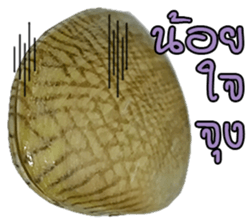 Clams LaLa sticker #14520068