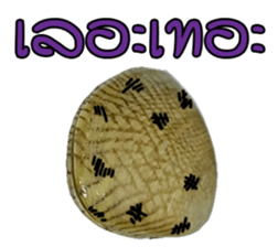 Clams LaLa sticker #14520088