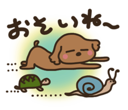 toy-poodle KEY4 sticker #14522906