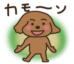 toy-poodle KEY4 sticker #14522916