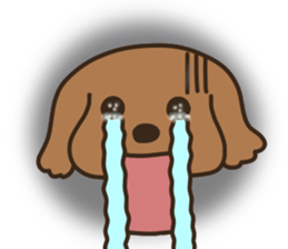 toy-poodle KEY4 sticker #14522921