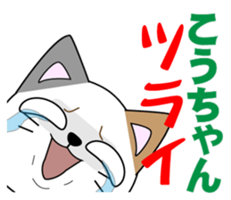 kouchan's dedicated Sticker sticker #14525636