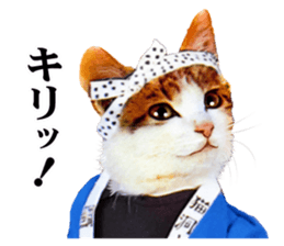 NAMENEKO3 sticker #14526710