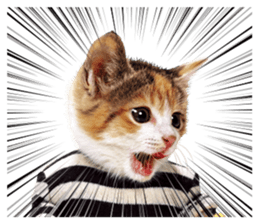 NAMENEKO3 sticker #14526711