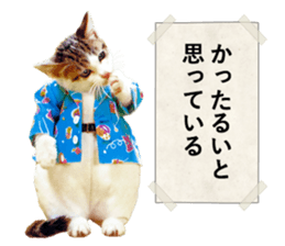 NAMENEKO3 sticker #14526713