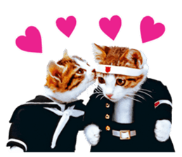 NAMENEKO3 sticker #14526714