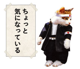 NAMENEKO3 sticker #14526716