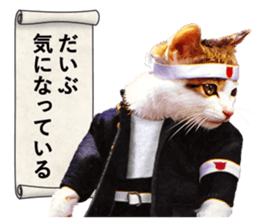 NAMENEKO3 sticker #14526717