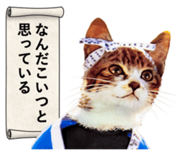 NAMENEKO3 sticker #14526720