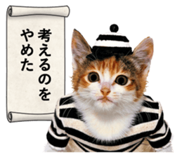 NAMENEKO3 sticker #14526724