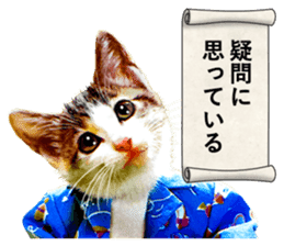 NAMENEKO3 sticker #14526726