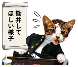 NAMENEKO3 sticker #14526728