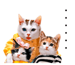 NAMENEKO3 sticker #14526733