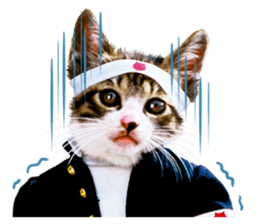 NAMENEKO3 sticker #14526734