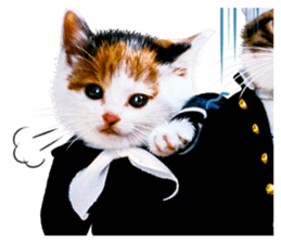 NAMENEKO3 sticker #14526735