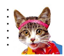 NAMENEKO3 sticker #14526736