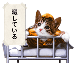 NAMENEKO3 sticker #14526738